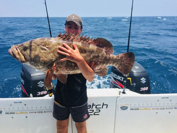 Read more about the article Noosa Charter Fishing