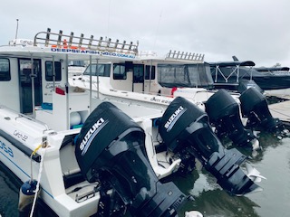 Read more about the article Charters with Deep sea fishing co Noosa