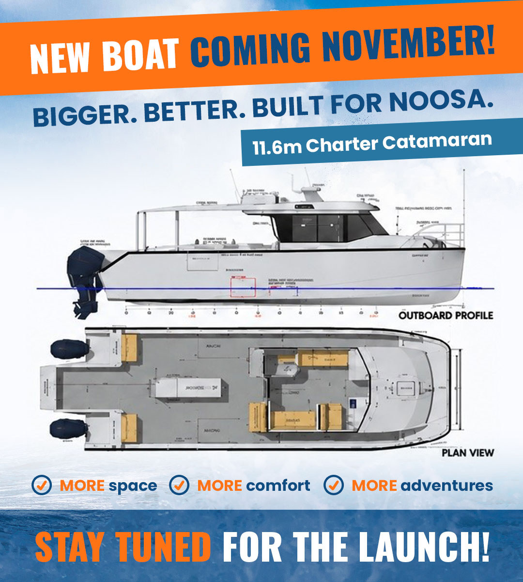 New boat coming November!