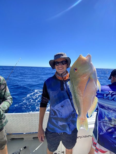 BIG parrot (tusk fish)