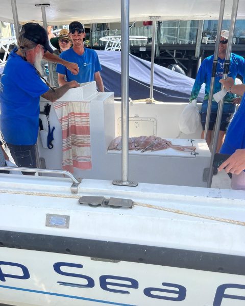 Blog from the crew Best fishing gear and what we use for offshore fishing  charters in Noosa Sunshine Coast - Deep Sea Fishing Co Noosa Sunshine Coast