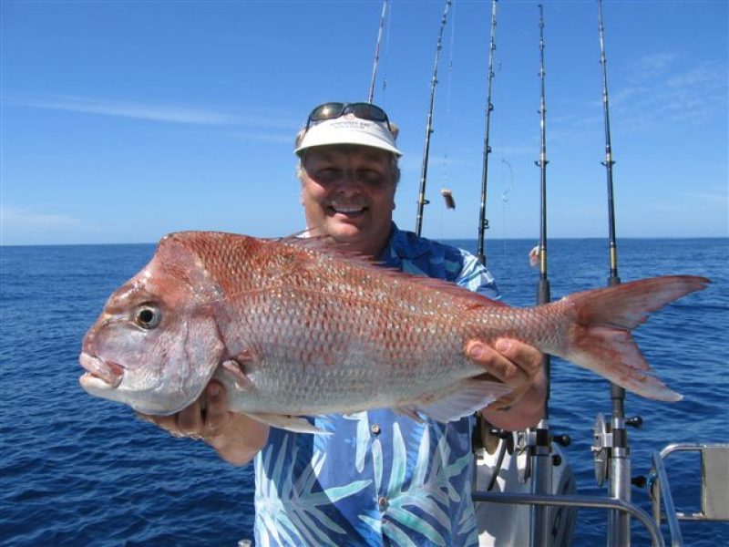What to expect fishing Offshore this time of the year aboard CATCH 22 - Deep  Sea Fishing Co Noosa Sunshine Coast